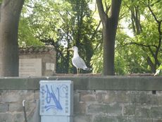 Italien Friaul Triest Cattedrale San Giusto 007.JPG